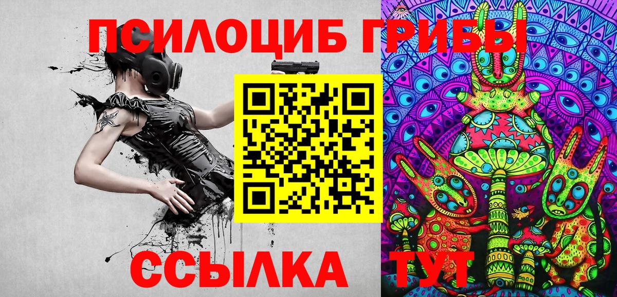 Псилоцибиновые грибы Psilocybe Сокол