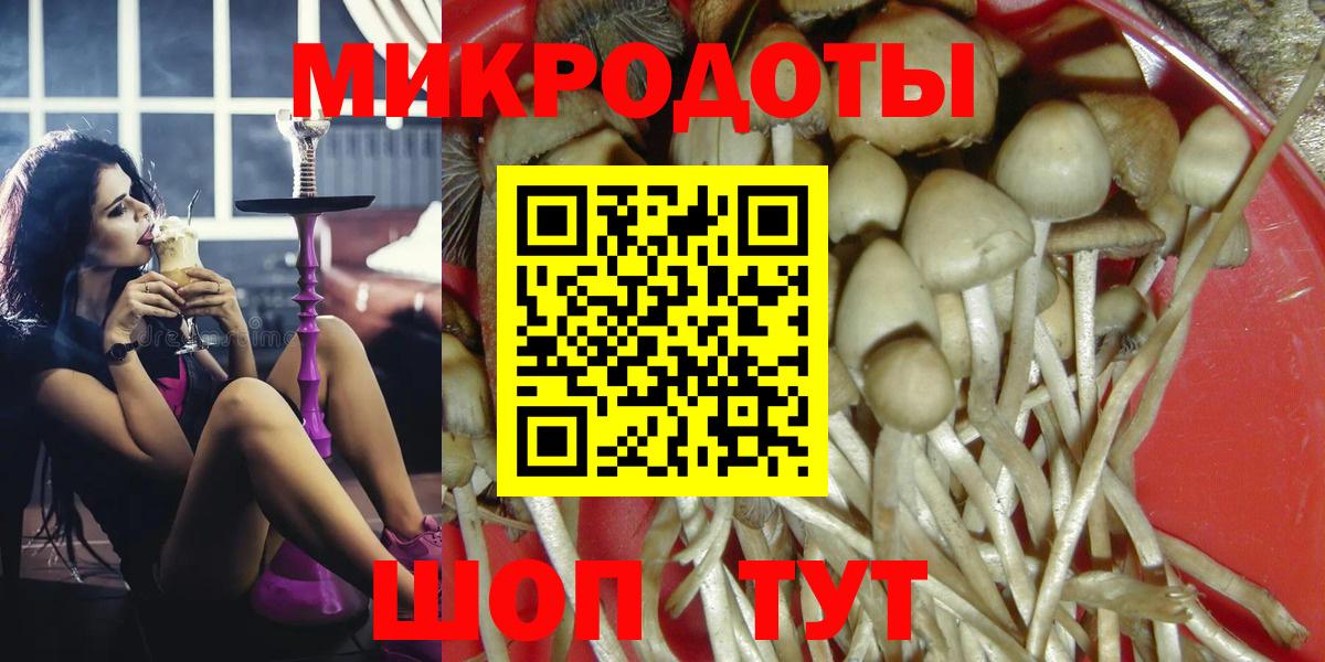 Сокол  где продают   Вход с VPN  Псилоцибиновые грибы Psilocybe 